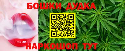 гашик Канаш