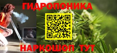 гашик Канаш