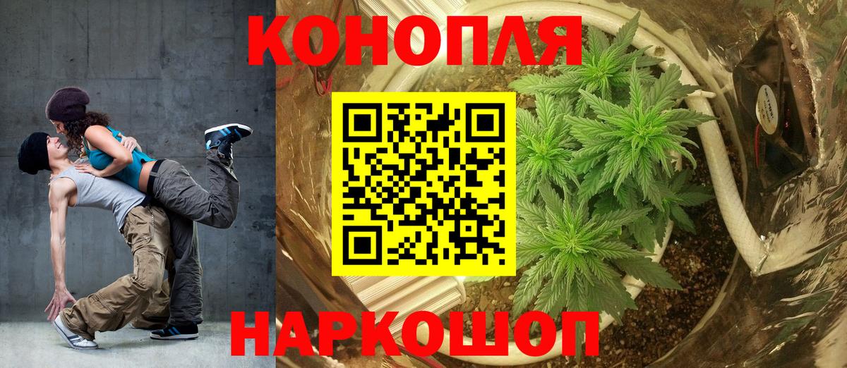 Бошки Шишки ГИДРОПОН Чусовой